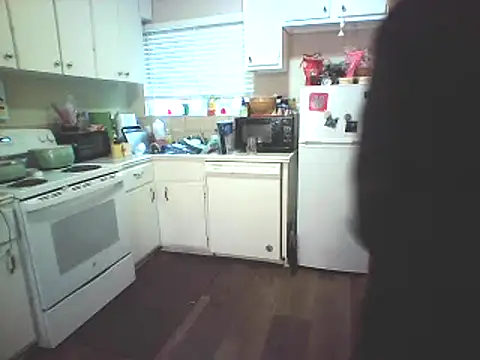 Big-Tits-McGee online show from 02-04-25, 04:29