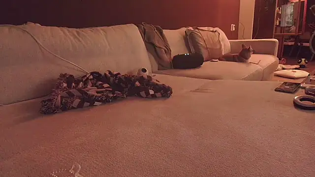 Snapshot of Nina24 chatting on 10-16-25, 06:42 Nina24 online show from 10-16-25, 06:42