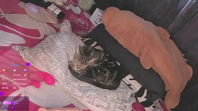 MiaGoth  online show from 09-13-25, 09:14