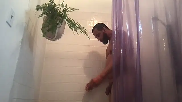 Z415 online show from 10-08-25, 04:04