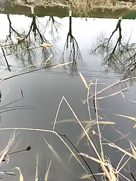 huzi518 online show from 02-27-25, 06:50