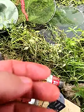 huzi518 online show from 10-25-25, 03:36