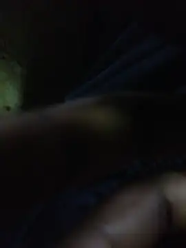 Snapshot of ALEX-BHASHI chatting on 10-17-25, 12:47 ALEX-BHASHI online show from 10-17-25, 12:47