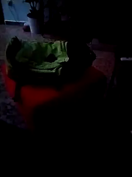 minitranca online show from 02-26-26, 09:58