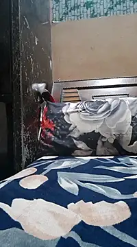 Snapshot of Bbw_Juice_Wife chatting on 12-14-24, 09:40 Bbw Juice Wife online show from 12-14-24, 09:40