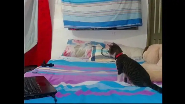 Snapshot of perverted_couple_- chatting on 12-23-24, 01:08 perverted couple - online show from 12-23-24, 01:08