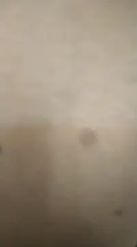 Snapshot of rohitlov150 chatting on 02-13-25, 11:50 rohitlov150 online show from 02-13-25, 11:50