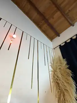 Snapshot of LylaLee111 chatting on 02-01-25, 04:00 LylaLee111 online show from 02-01-25, 04:00