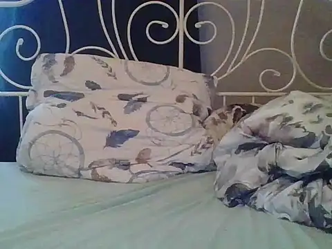 Snapshot of sympatyczny223 chatting on 03-15-25, 08:04 sympatyczny223 online show from 03-15-25, 08:04