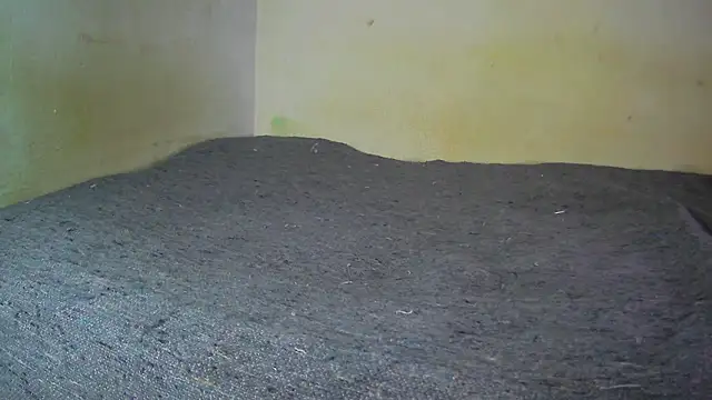 fern tlk online show from 12-17-24, 08:21