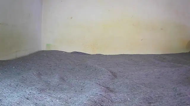 fern tlk online show from 12-24-24, 07:11