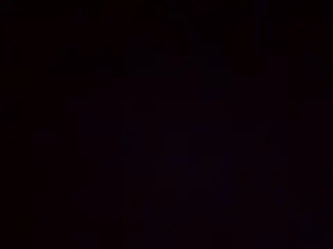 lisa larry88 online show from 12-19-24, 03:29