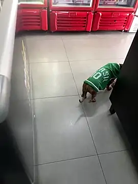 Snapshot of Hjsjsjsjjd chatting on 10-14-25, 12:17 Hjsjsjsjjd online show from 10-14-25, 12:17