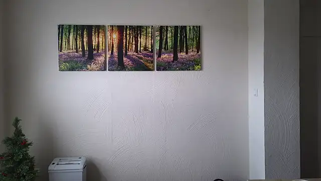 Snapshot of Harry_Boldt chatting on 12-30-24, 10:10 Harry Boldt online show from 12-30-24, 10:10