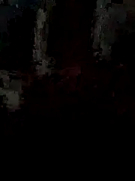 Snapshot of pintuS40 chatting on 09-15-25, 02:22 pintuS40 online show from 09-15-25, 02:22