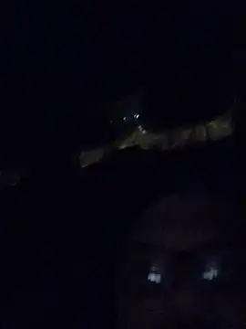 Snapshot of Watson4U chatting on 12-13-24, 06:27 Watson4U online show from 12-13-24, 06:27