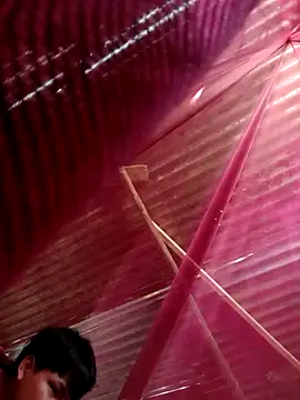 Huebolocko online show from 10-31-25, 09:05