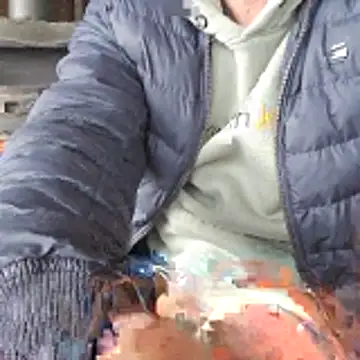 Snapshot of Lumpi1988A chatting on 02-19-26, 11:39 Lumpi1988A online show from 02-19-26, 11:39