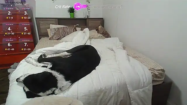 Kittyymaze1 online show from 02-25-25, 01:28