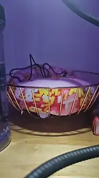 MissyLovexxx online show from 12-05-24, 12:11