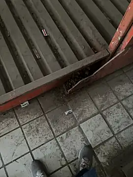 A-mira online show from 03-21-25, 09:56