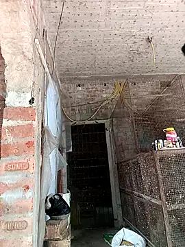 NICK IN online show from 02-24-25, 07:33