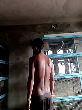 NICK IN online show from 03-01-26, 02:24