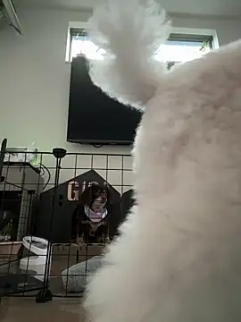 kensnb online show from 03-08-25, 10:02