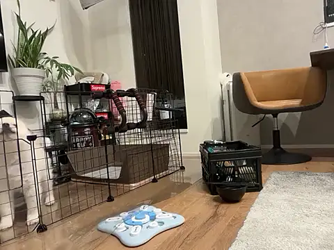 kensnb online show from 11-04-25, 08:57