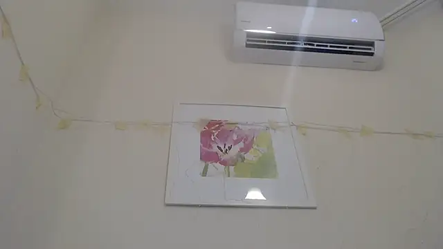 Snapshot of Only_Mane chatting on 01-14-25, 02:53 Only Mane online show from 01-14-25, 02:53