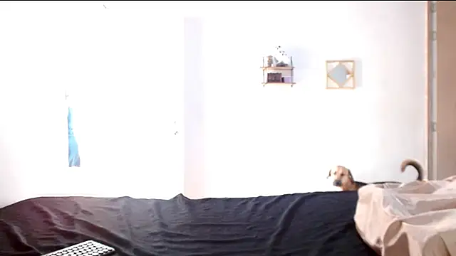 cherrydelioncourt online show from 04-07-26, 05:13