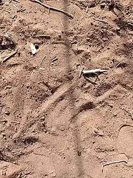 paugrande453 online show from 09-24-25, 10:51