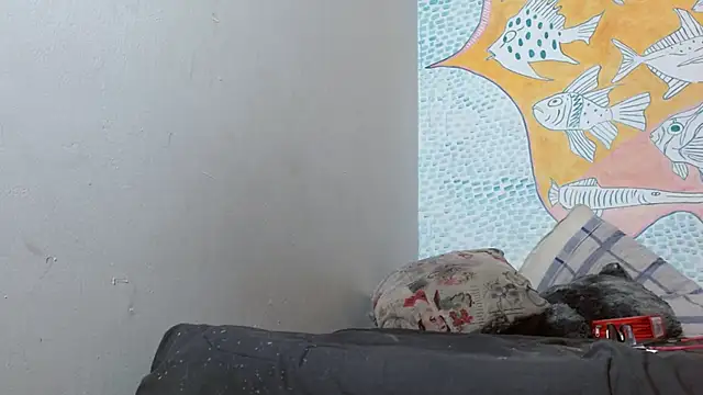 Party trans online show from 02-14-25, 03:22