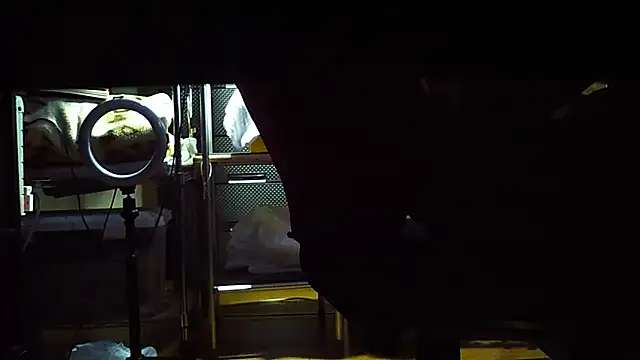 Snapshot of qoooqing67 chatting on 12-15-24, 06:18 qoooqing67 online show from 12-15-24, 06:18