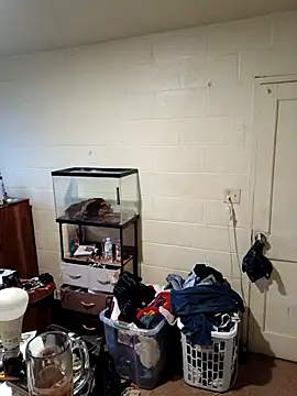 TickleMeKink online show from 09-18-25, 11:23