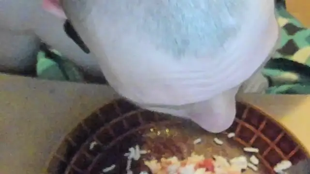 sexy264329 online show from 03-07-25, 04:22