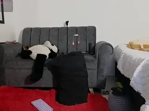 Snapshot of Katt_BDSM chatting on 02-13-25, 03:14 Katt BDSM online show from 02-13-25, 03:14