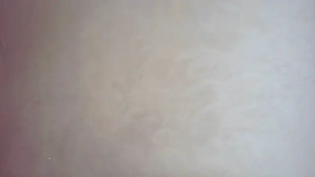 CaitlinaJayne23 online show from 09-19-25, 05:42