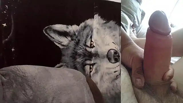 Hornychitown24 online show from 02-03-26, 08:36