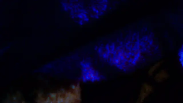 penesillo79 online show from 12-18-25, 04:29