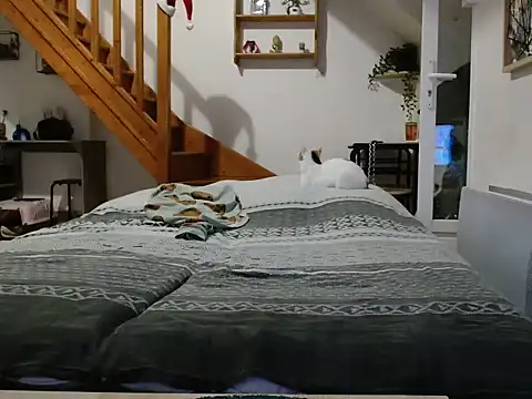 Lauzo21 online show from 12-05-25, 06:33