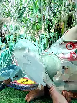 Snapshot of Betty20zx chatting on 11-12-25, 02:01 Betty20zx online show from 11-12-25, 02:01