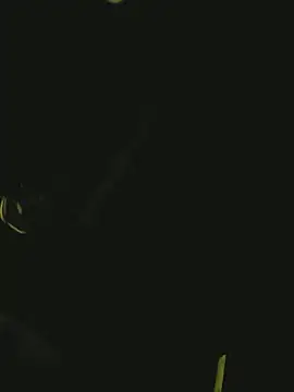 Pressure69mee online show from 03-02-25, 10:59