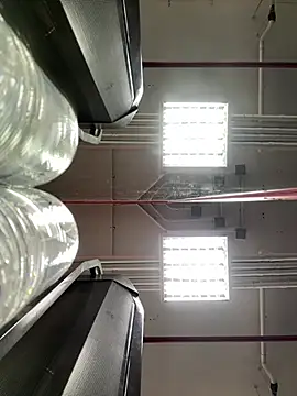 luv2masterb8247 online show from 03-21-25, 02:07