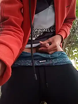 Snapshot of Piyush_2024 chatting on 12-31-24, 01:47 Piyush 2024 online show from 12-31-24, 01:47