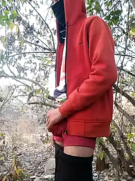 Snapshot of Piyush_2024 chatting on 02-15-25, 01:53 Piyush 2024 online show from 02-15-25, 01:53