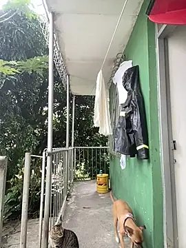 Jestebanano online show from 02-04-26, 07:42