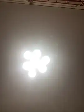 Janet Welder online show from 11-16-25, 08:25