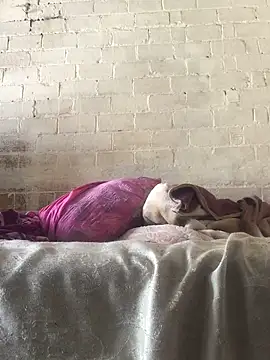 Snapshot of Sweet___Dick chatting on 01-30-25, 07:18 Sweet Dick online show from 01-30-25, 07:18