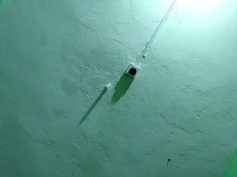 RADHAHO online show from 11-02-25, 09:50